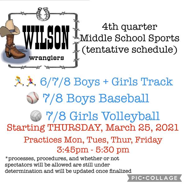 Wilson K8 School / Homepage